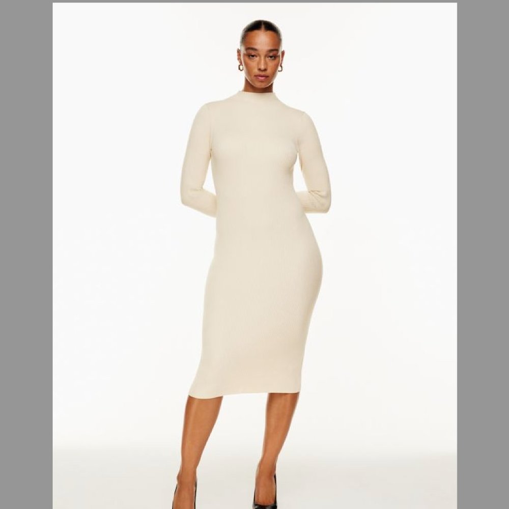 NWT Aritzia Babaton - Compose Dress - Mock-neck sweater dress size XS
